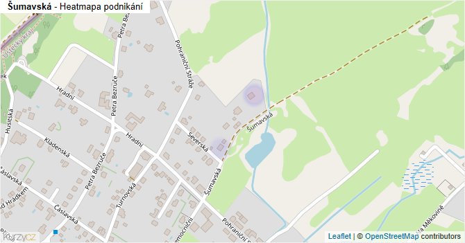 Šumavská - mapa podnikání