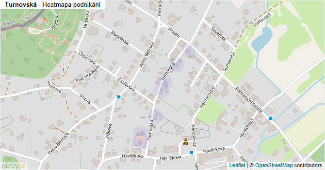 Turnovská - mapa podnikání