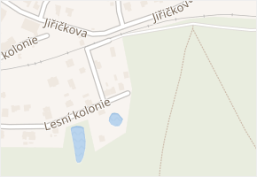 Lesní kolonie v obci Včelná - mapa ulice