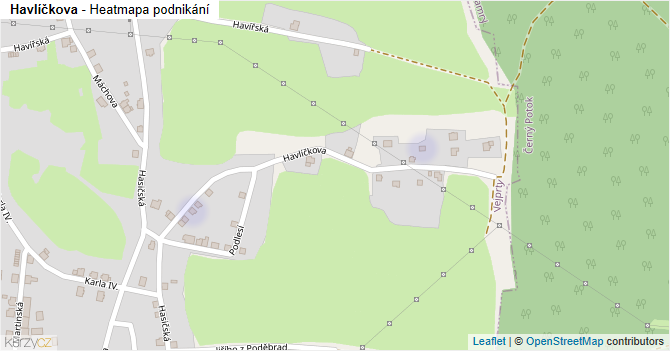 Havlíčkova - mapa podnikání