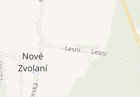 Lesní v obci Vejprty - mapa ulice