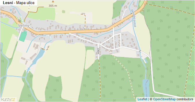 Lesní - mapa ulice