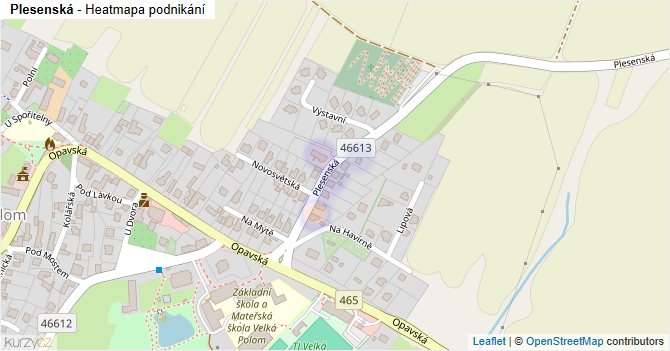 Plesenská - mapa podnikání