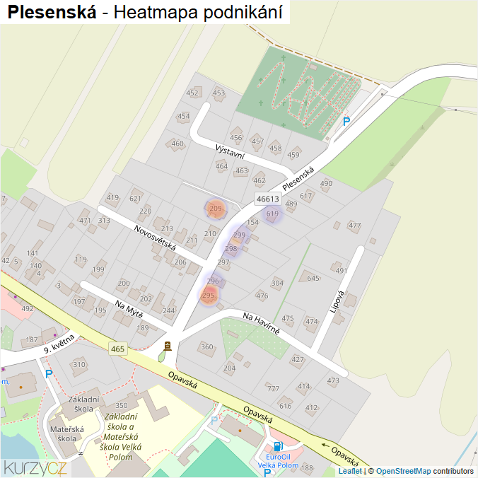 Mapa Plesenská - Firmy v ulici.