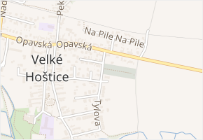 Hřbitovní v obci Velké Hoštice - mapa ulice