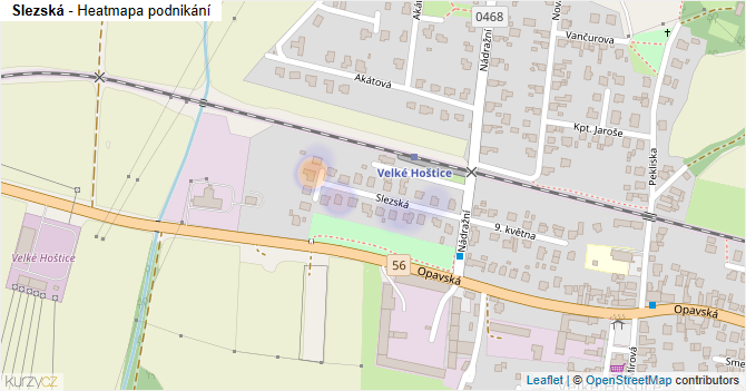 Slezská - mapa podnikání