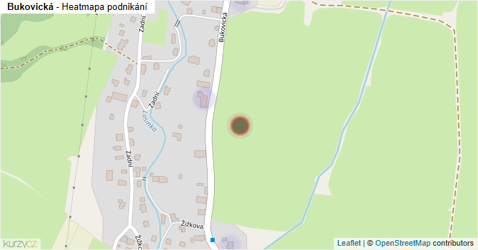 Bukovická - mapa podnikání