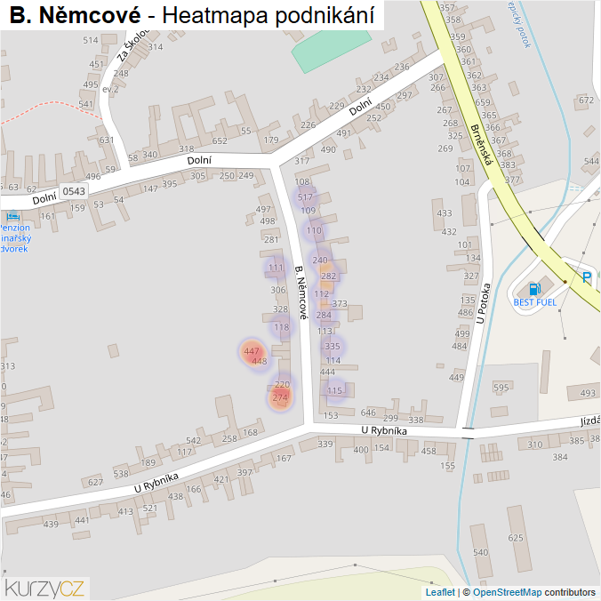 Mapa B. Němcové - Firmy v ulici.