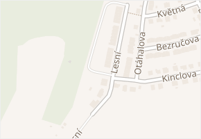 Lesní v obci Velké Opatovice - mapa ulice