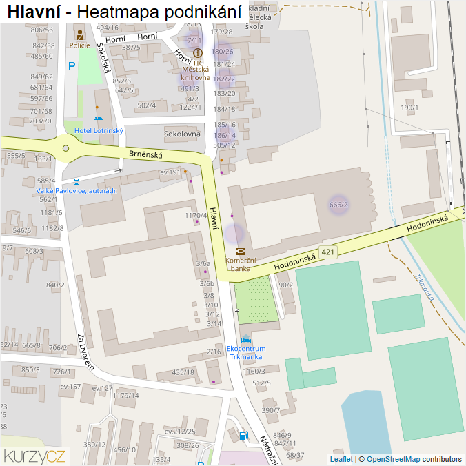 Mapa Hlavní - Firmy v ulici.