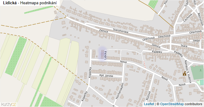 Lidická - mapa podnikání