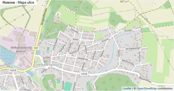 Husova - mapa ulice