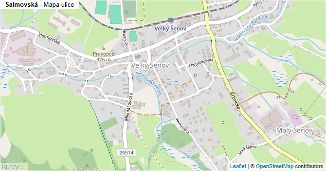 Salmovská - mapa ulice