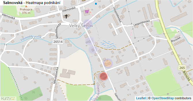 Salmovská - mapa podnikání