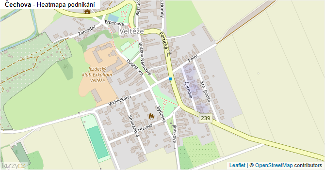 Čechova - mapa podnikání
