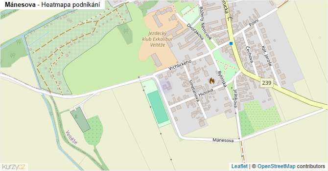 Mánesova - mapa podnikání