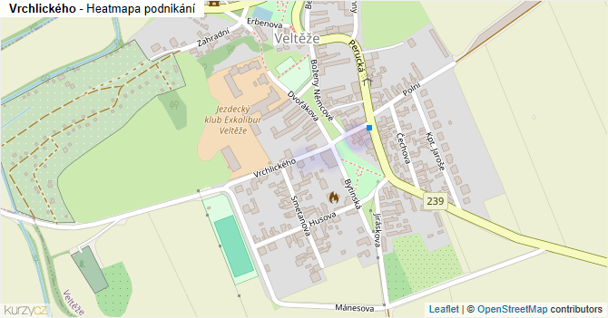 Vrchlického - mapa podnikání
