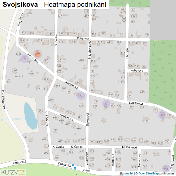 Mapa Svojsíkova - Firmy v ulici.