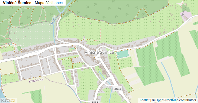 Viničné Šumice - mapa části obce