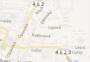 Květinová v obci Vítkov - mapa ulice