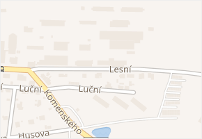 Lesní v obci Vítkov - mapa ulice