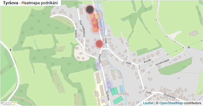 Tyršova - mapa podnikání