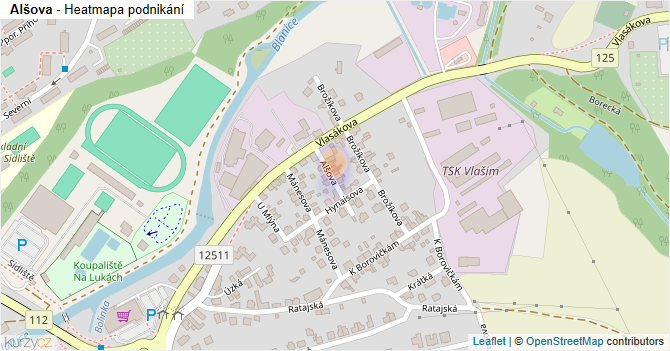 Alšova - mapa podnikání