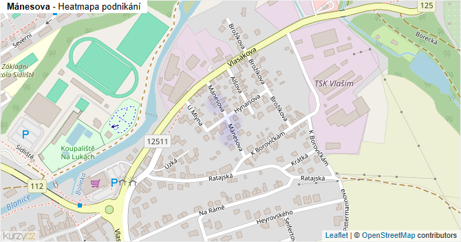 Mánesova - mapa podnikání
