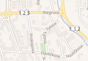 Tylova v obci Vlašim - mapa ulice