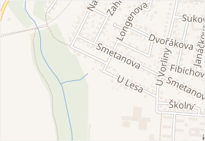 U Lesa v obci Vlašim - mapa ulice