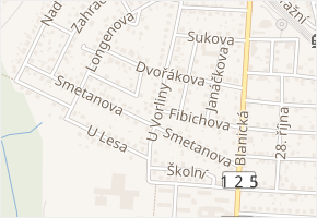 U Vorliny v obci Vlašim - mapa ulice
