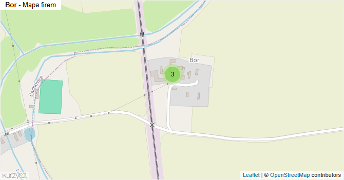 Bor - mapa firem