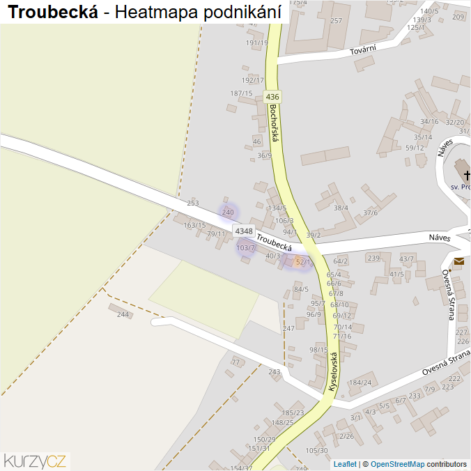 Mapa Troubecká - Firmy v ulici.