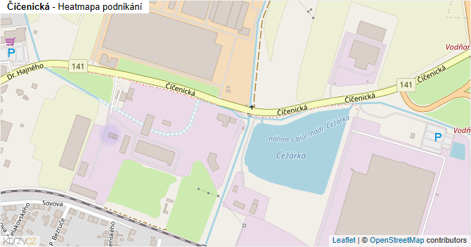 Číčenická - mapa podnikání