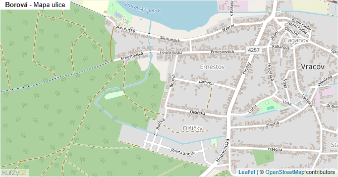 Borová - mapa ulice