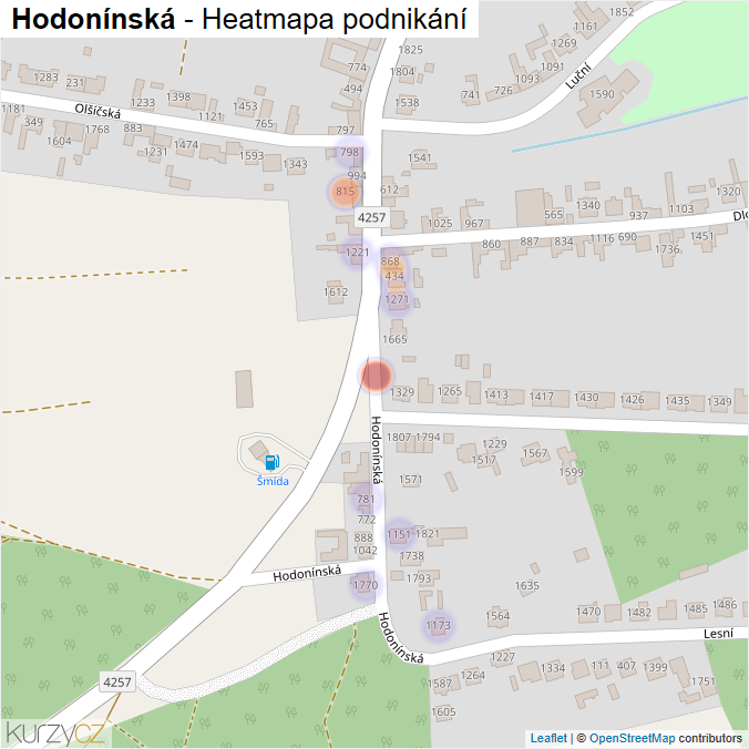 Mapa Hodonínská - Firmy v ulici.