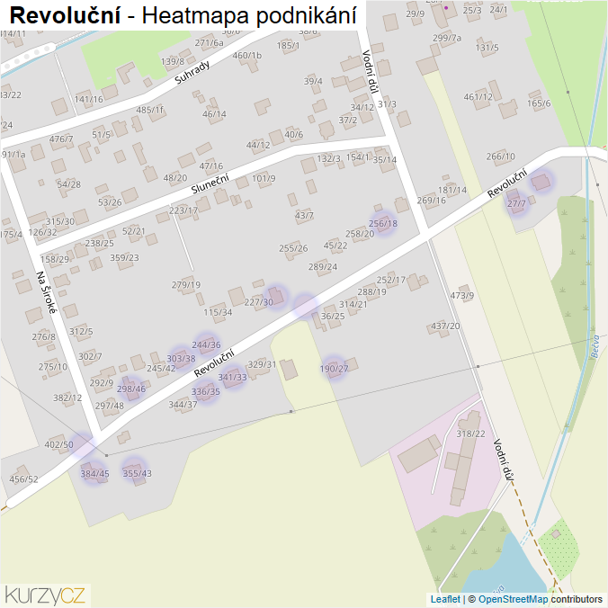 Mapa Revoluční - Firmy v ulici.