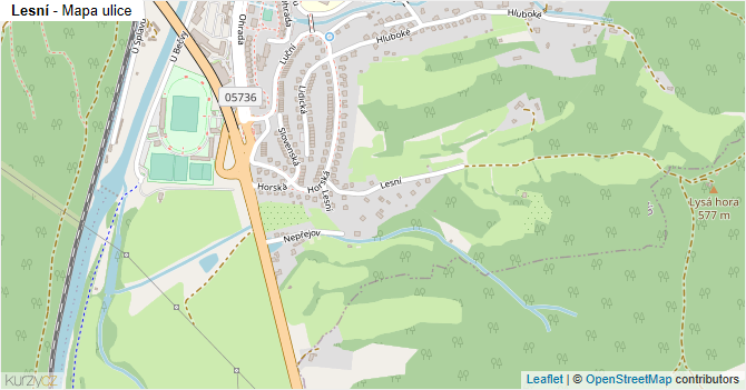 Lesní - mapa ulice