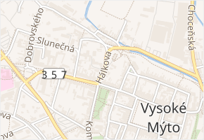 Hálkova v obci Vysoké Mýto - mapa ulice