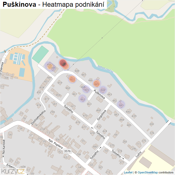 Mapa Puškinova - Firmy v ulici.