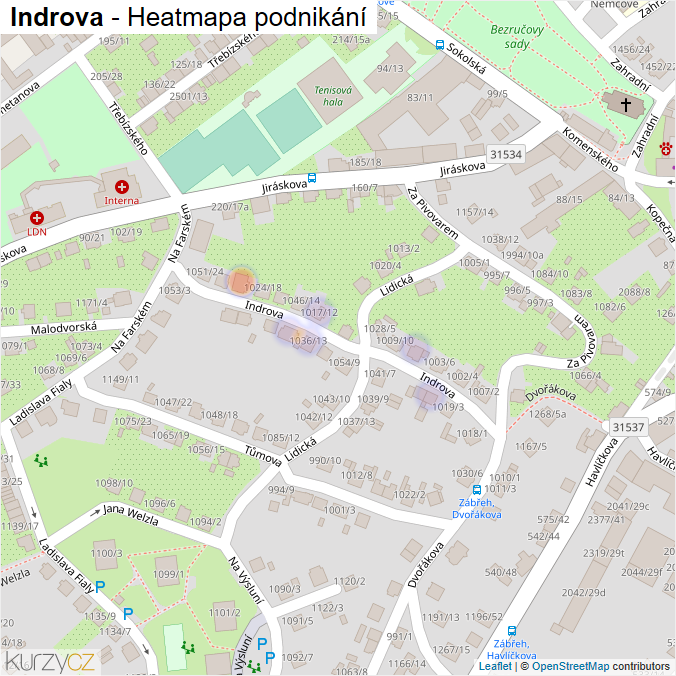Mapa Indrova - Firmy v ulici.