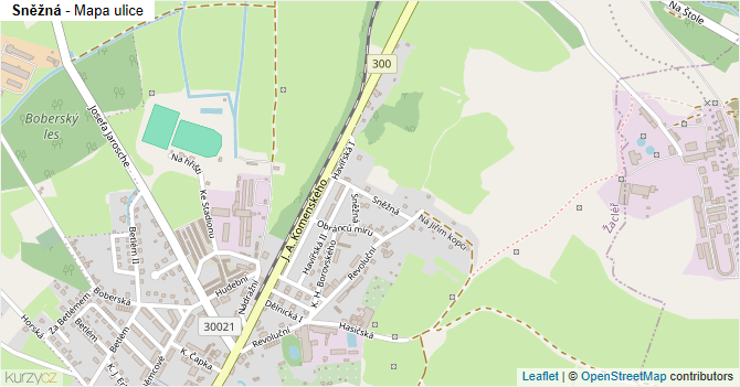 Sněžná - mapa ulice