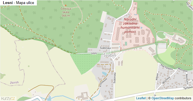 Lesní - mapa ulice