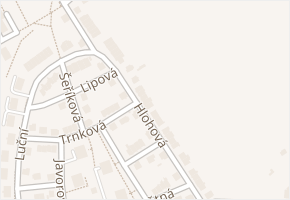 Hlohová v obci Žďár nad Sázavou - mapa ulice