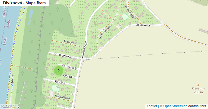 Diviznová - mapa firem