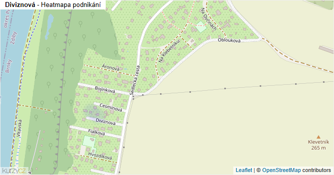 Diviznová - mapa podnikání