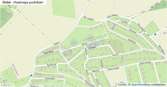 Dolní - mapa podnikání