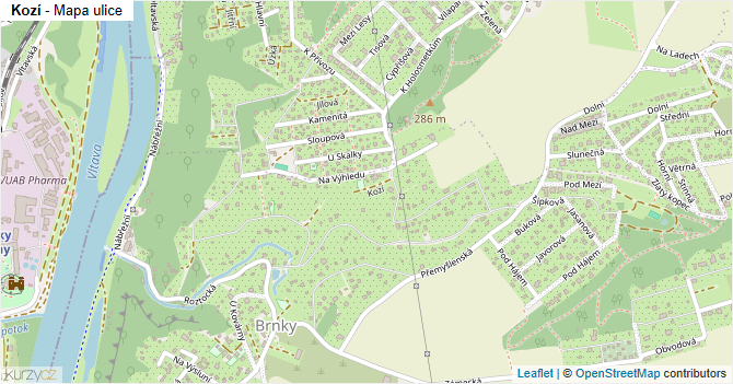 Kozí - mapa ulice