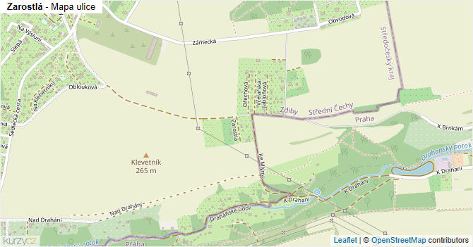 Zarostlá - mapa ulice