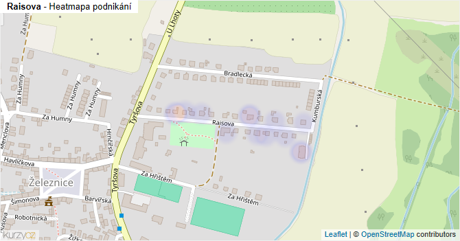 Raisova - mapa podnikání